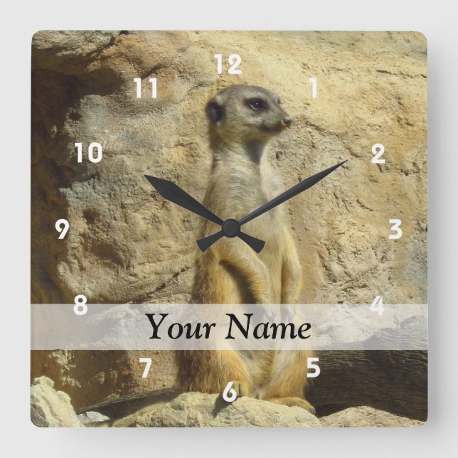 Horloge Carrée Photo de Cute meerkat (Recto)