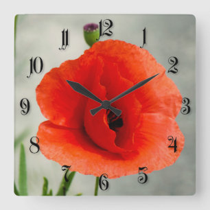 Horloge Carrée Photo de fleur à pavot simple