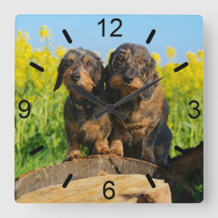 Horloge Carrée Photo mignonne d'animal familier de deux de