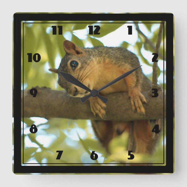Horloge Carrée Photo nature d'écureuil mignonne et curieuse (Recto)