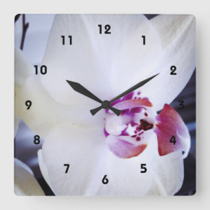 Horloge Carrée Photo Orchidée blanche