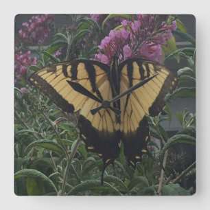 Horloge Carrée Photo personnelle de Yellow et Black Butterfly