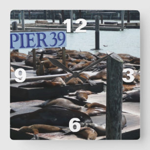 Horloge Carrée Pier 39 Sea Lions