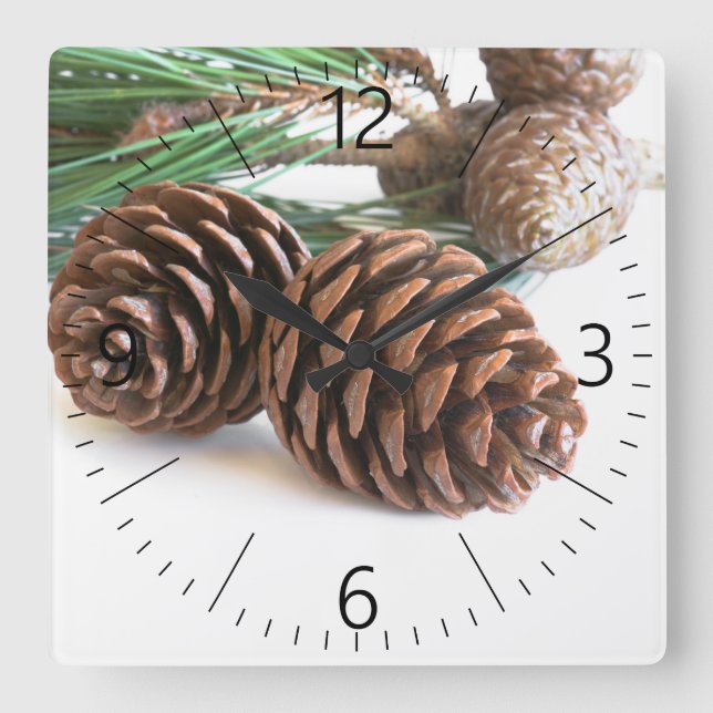 Horloge Carrée Pine branch and cones (Recto)