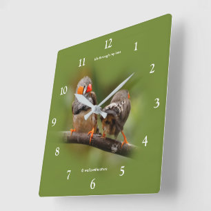 Horloge Carrée Pinsons zèbres effrontés oiseaux chanteurs sur une