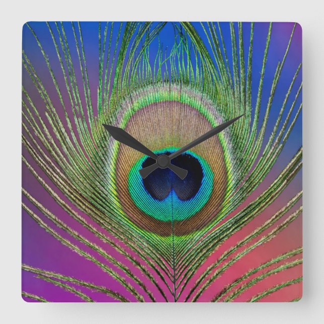 Horloge Carrée Plume de queue d'un paon (Recto)