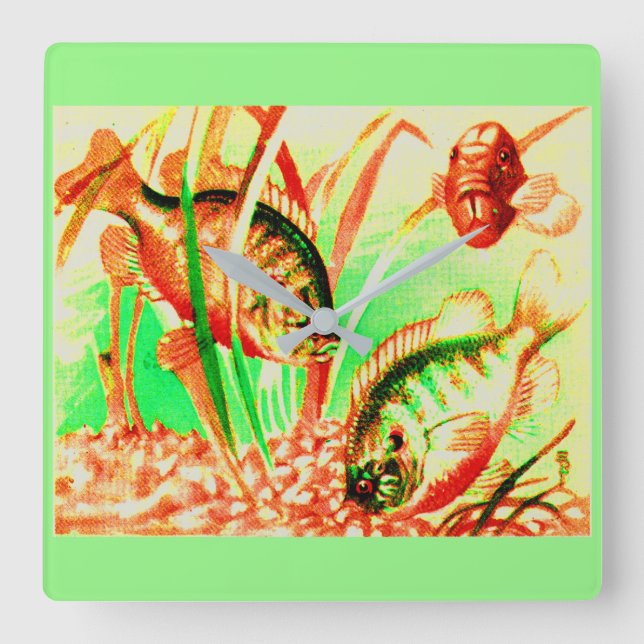 Horloge Carrée poisson d'eau douce (Recto)