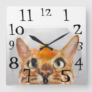 Horloge Carrée Poisson rouge de observation de chat dans une