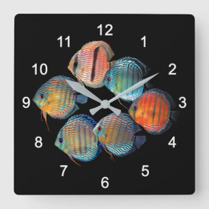 Horloge Carrée Poisson sauvage Discus