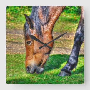 Horloge Carrée Pony Pony Equine Photo Amateurs de chevaux