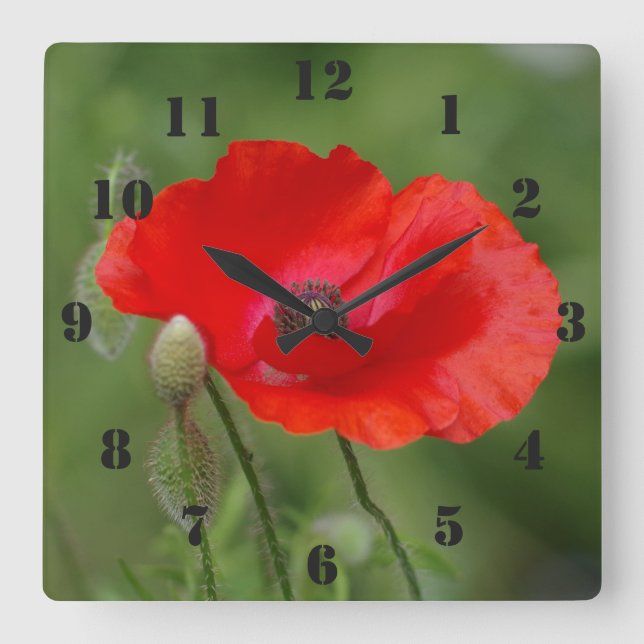 Horloge Carrée Poppy clock (Recto)