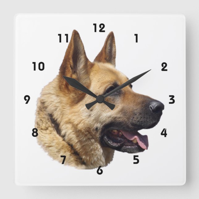 Horloge Carrée Portrait d'Alsatian German shepherd (Recto)