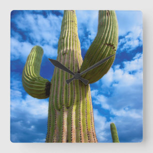 Horloge Carrée Portrait de cactus du Saguaro, Arizona