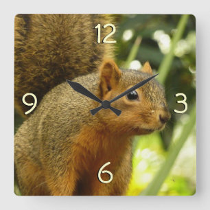 Horloge Carrée Portrait d'un Écureuil Photographie de la Nature e