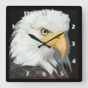 Horloge Carrée Portrait Majestic Bald Eagle