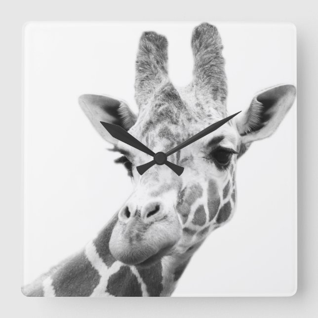 Horloge Carrée Portrait noir et blanc d'une girafe (Recto)