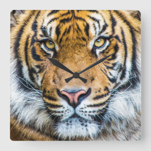 Horloge Carrée Portrait Visage Tiger