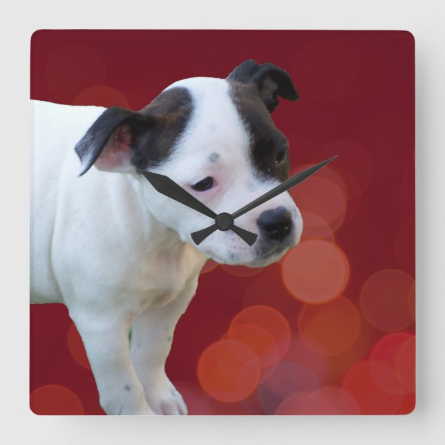 Horloge Carrée Puppy Black And White Staffordshire (Recto)