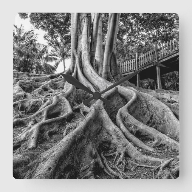 Horloge Carrée Racines massives de caoutchouc (Recto)