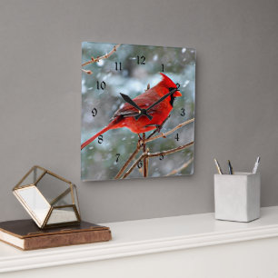 Horloge Carrée Red Cardinal