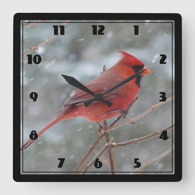Horloge Carrée Red cardinal en hiver (Recto)