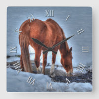 Red Dun Ranch Horse Boire dans un étang neigeux