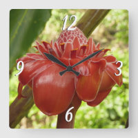 Red Torch Ginger Tropical Flower Photographie