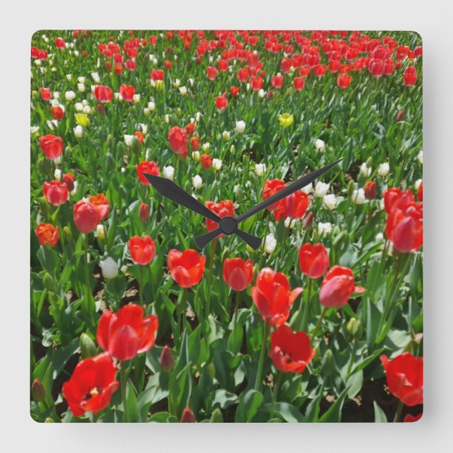 Horloge Carrée Red Tulip Flower Field Nature Photographie (Recto)