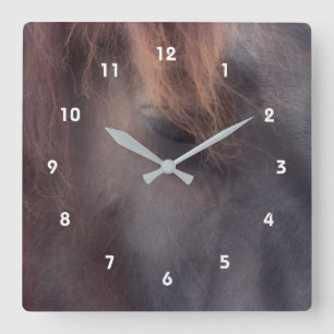 Horloge Carrée Réflexions Oeil D'Un Animal Cheval