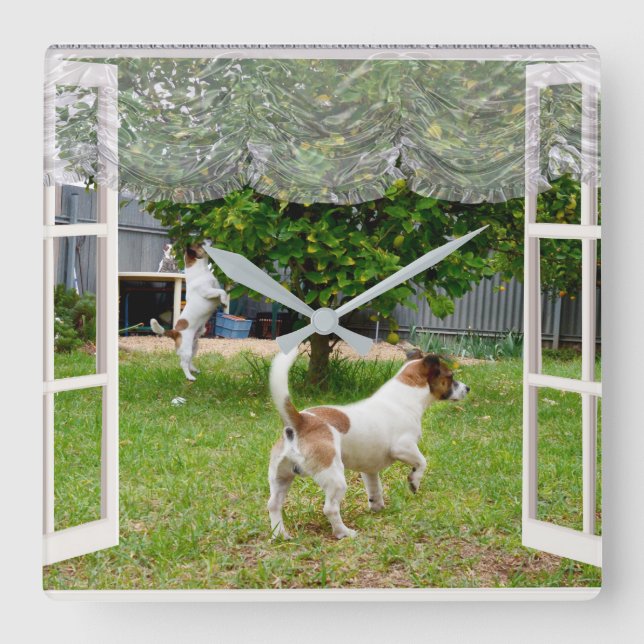 Horloge Carrée Renard Terriers À La Découverte Du Jardin, (Recto)