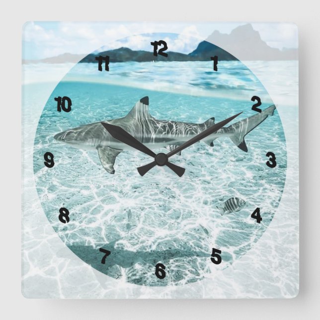 Horloge Carrée Requin dans les eaux (Recto)
