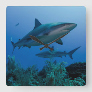 Horloge Carrée Requin des récifs des Caraïbes Jardines de la Rein