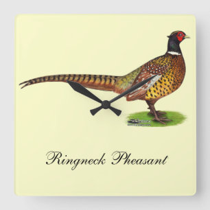 Horloge Carrée Ringneck Pheasant Rooster