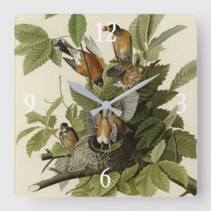 Horloge Carrée Robin américain d'Audubon's Birds of America