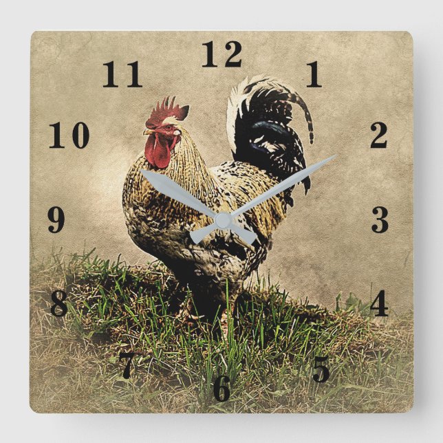 Horloge Carrée Rooster (Recto)