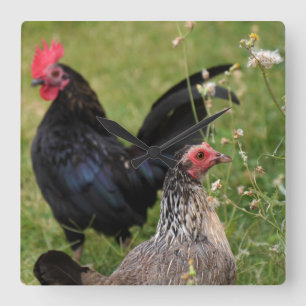 Horloge Carrée Rooster and Hen