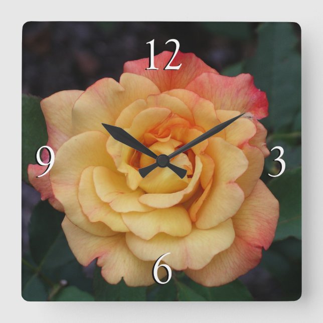 Horloge Carrée Rose Beautiful Pink and Yellow Floral (Recto)