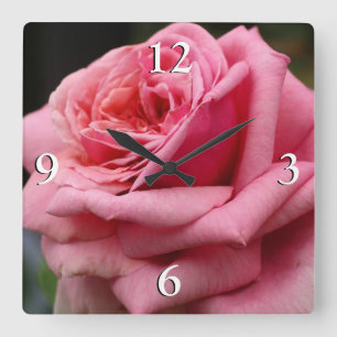 Horloge Carrée Rose rose I Jolie photo florale