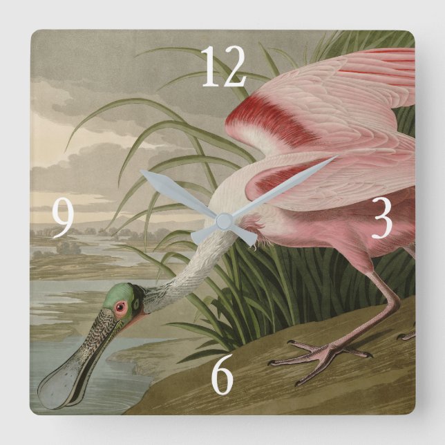 Horloge Carrée Roseate Spoonbill from Audubon's Birds of America (Recto)