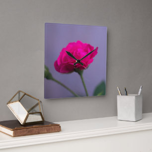 Horloge Carrée Rosier de jardin rose