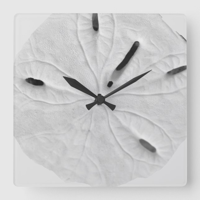 Horloge Carrée Sables dollars Beach Coastal Black White Trendy (Recto)