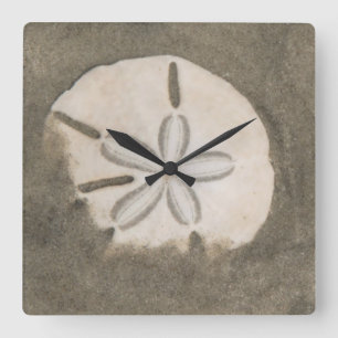 Horloge Carrée Sables en dollars (Echinarachnius parma)