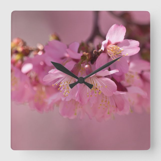 Horloge Carrée Sakura Cherry Blossoms Delicate Pink Bouquet (Recto)