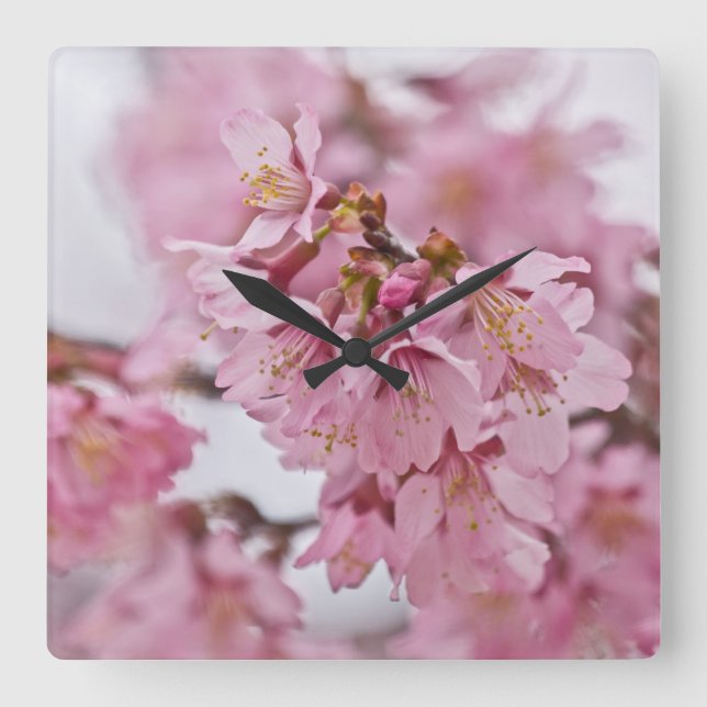 Horloge Carrée Sakura Cherry Blossoms rose pâle (Recto)