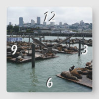 San Francisco et Pier 39 Sea Lions City Skyline