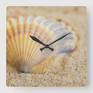 Horloge Carrée Seashell