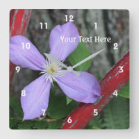 Simple Purple Clematis Flower