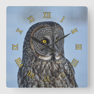 Horloge Carrée Sitting Great Grey Owl Photo de la faune Portrait 