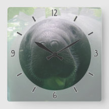 Sloppy Manatee