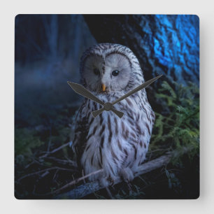 Horloge Carrée Snowy Owl